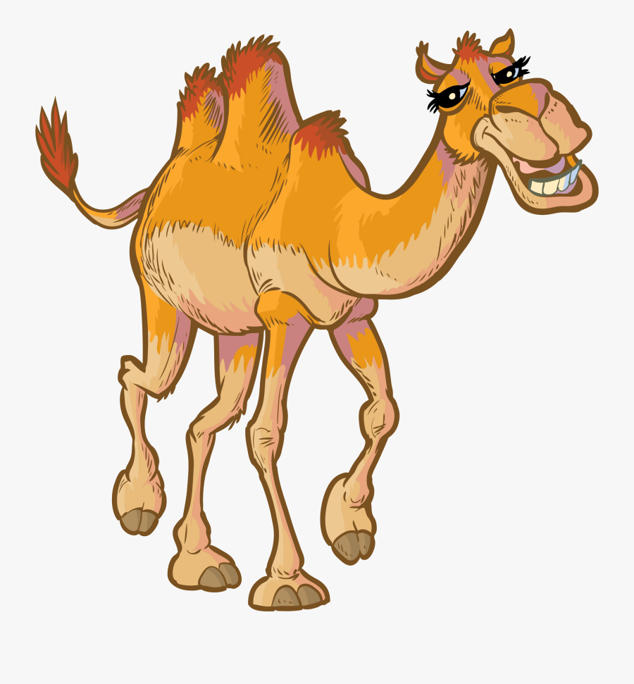 Cartoon Camel Face, Transparent Clipart