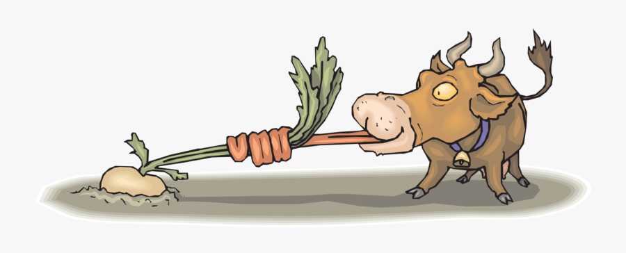 Turnip - Eating - Turnip Pulling, Transparent Clipart