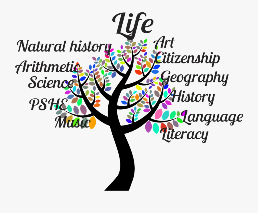 School, Tree, Tree Of Life, School Subjects - School Tree, Transparent Clipart