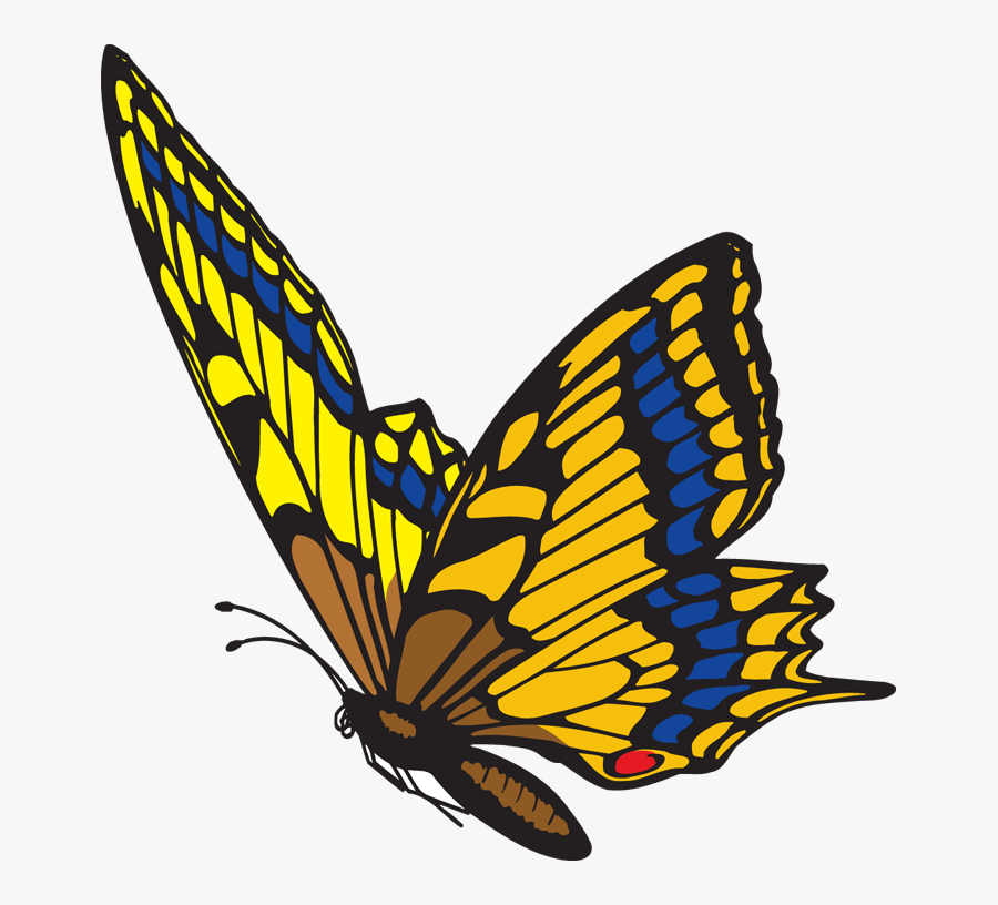 Animated Butterfly Gif Png Original file at image gif format