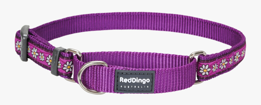 Banner Transparent Stock Leash Clip Dog Chain - Dog Neck Belt Png, Transparent Clipart