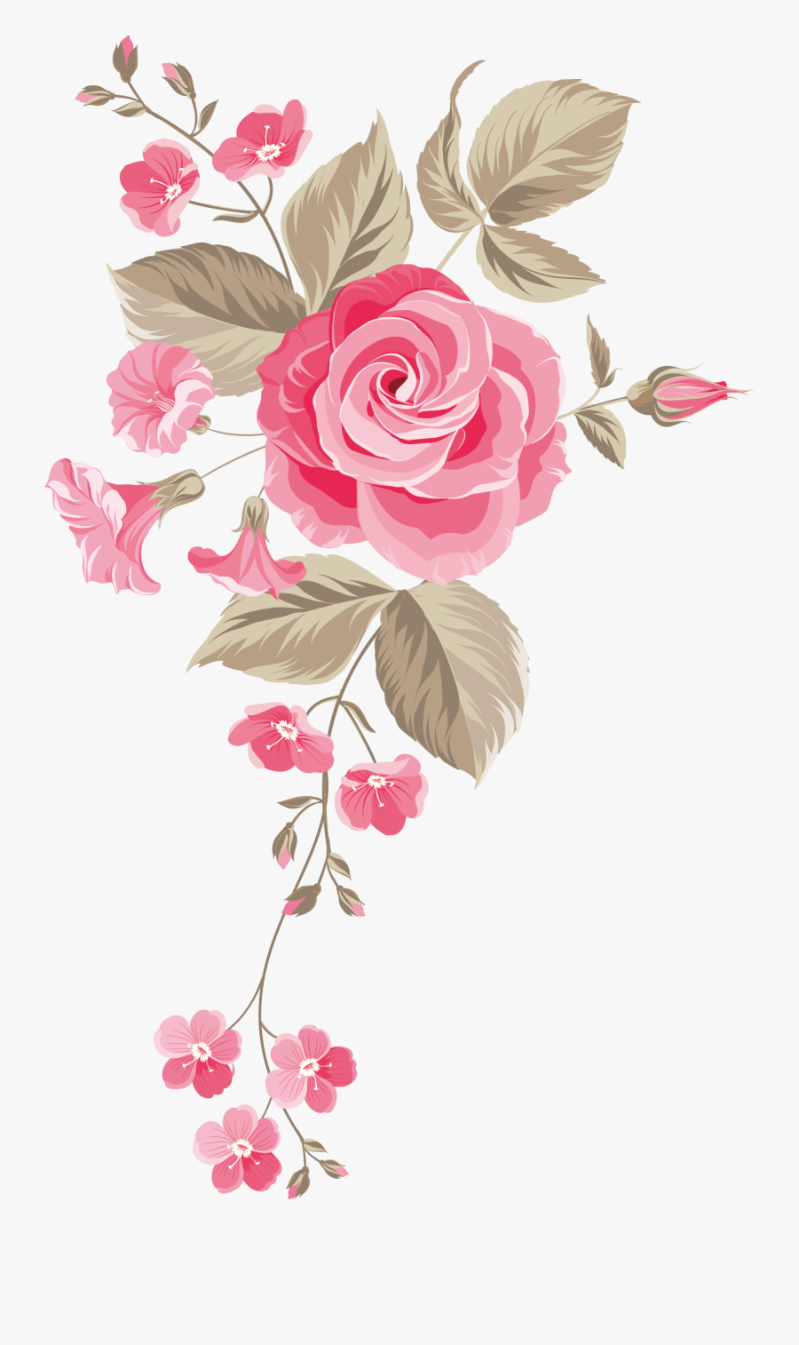Cut Garden Bouquet Roses Centifolia Flower Design Clipart - Flower Design No Background, Transparent Clipart