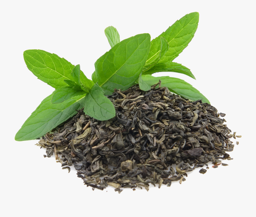 Green Tea Leaves Png, Transparent Clipart