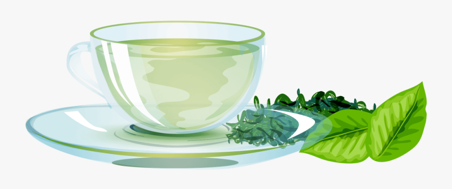 Green Tea Png Image Free Download Searchpng - Saucer, Transparent Clipart