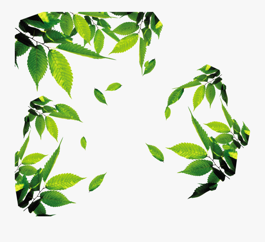 Leaves Leaf Icon Free Photo Png Clipart - Icon Tea Leaf Png, Transparent Clipart