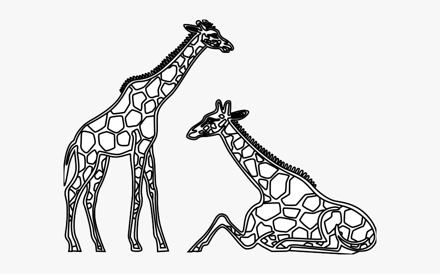 Giraffes Clipart Black And White, Transparent Clipart