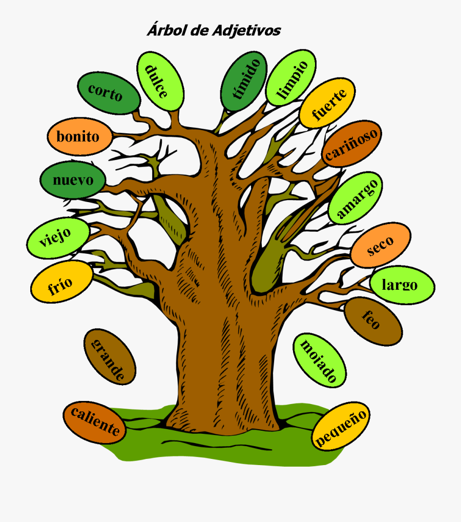 rbol-de-adjetivos-model-of-adjective-tree-free-transparent-clipart