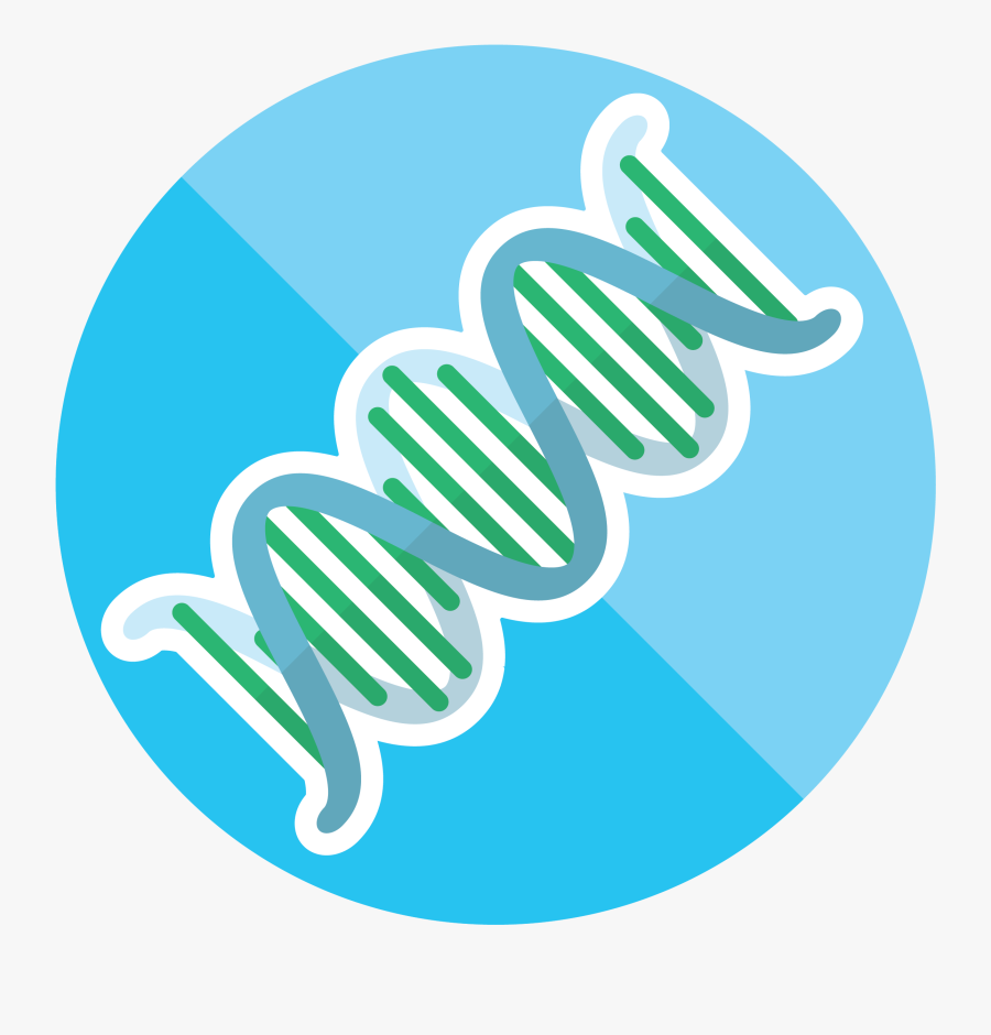 Dna Clipart Genetic Trait - Gloucester Road Tube Station, Transparent Clipart