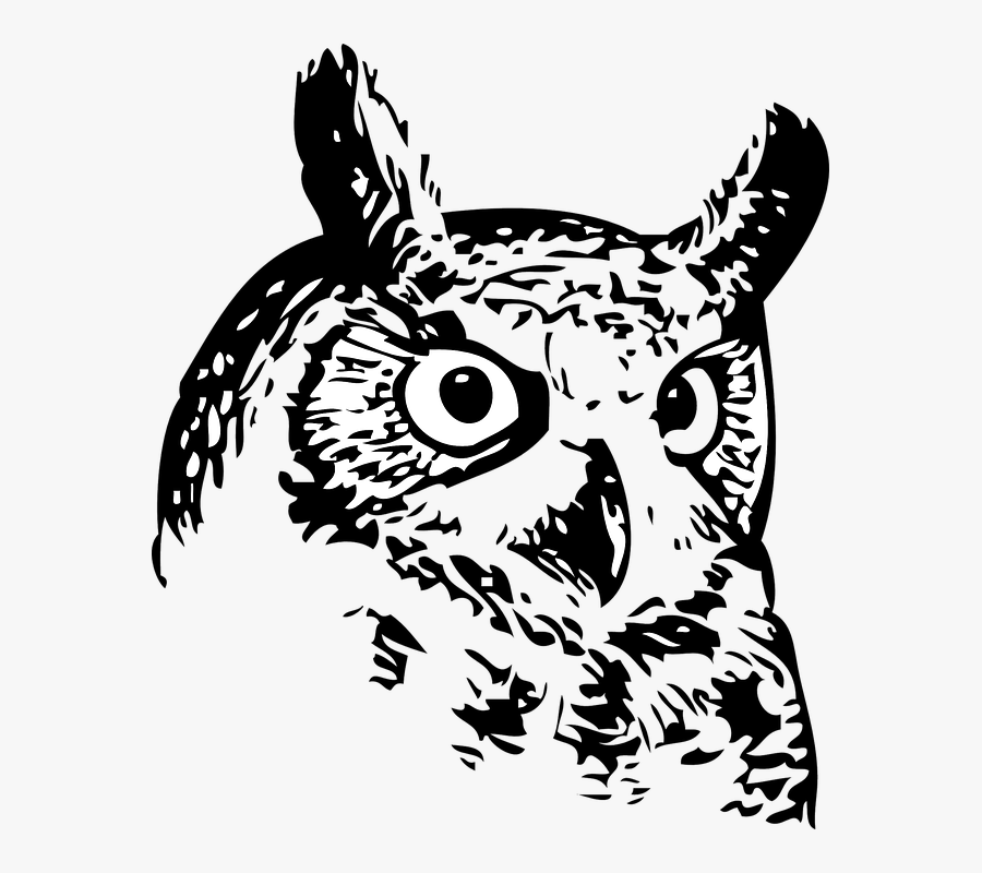 Owl, Bird, Black And White, Wildlife, Nocturnal - Owl Line Art Vector, Transparent Clipart