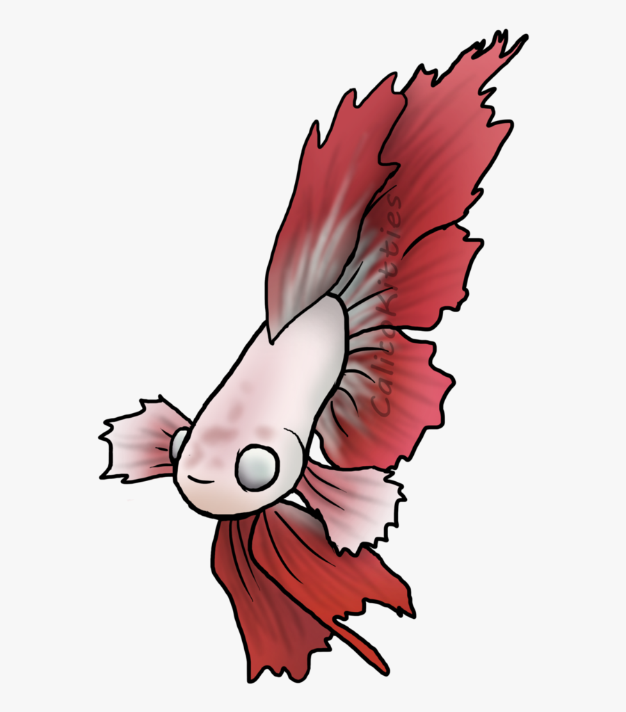 Clipart Transparent Download Betta Drawing Feather - Illustration, Transparent Clipart