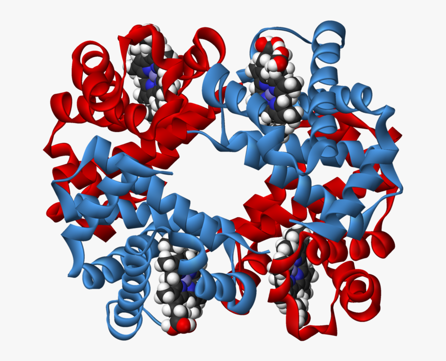 Haemoglobin Structure 3d Transparent, Transparent Clipart