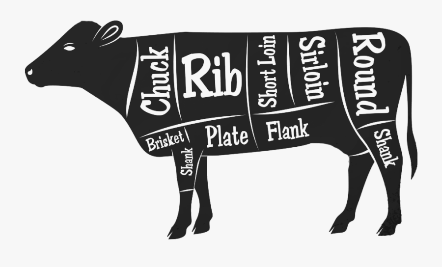 While Wall Street Cattle Does Not Sell Our Beef Yet - Punxsutawney Phil, Transparent Clipart