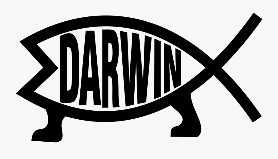 Darwin Evolution Clip Arts - Reptile, Transparent Clipart