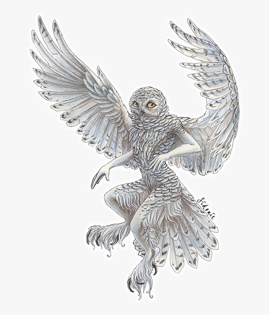 Transparent Flying Owl Clipart Black And White - Snowy Owl Art Transparent, Transparent Clipart