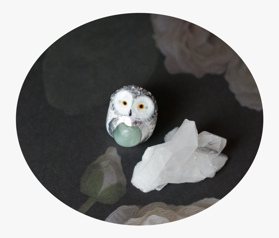 Transparent White Owl Png - Snowy Owl, Transparent Clipart