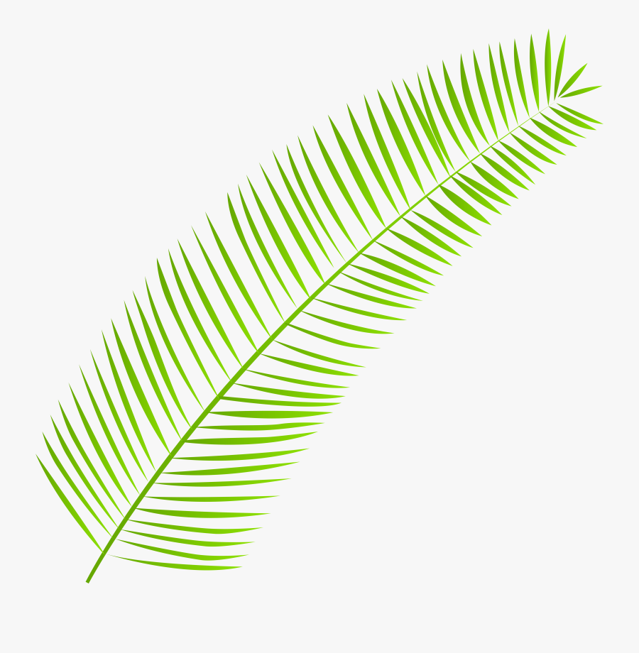Palm Leaf Png Clip Art, Transparent Clipart