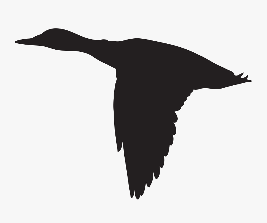 Duck Flying Silhouette Png Clip Art Image Ⓒ, Transparent Clipart