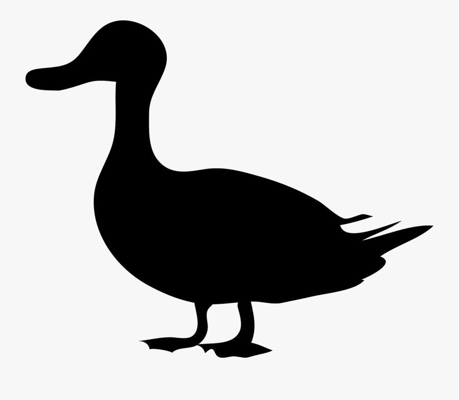 Transparent Duck Clipart Black And White - Duck Silhouette, Transparent Clipart