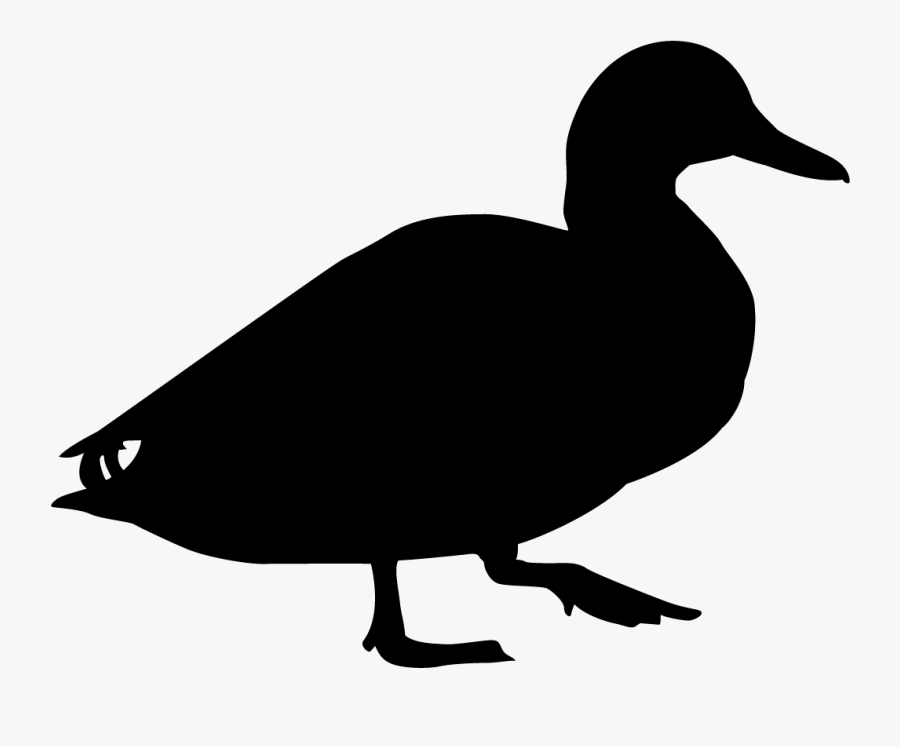 Clip Art Ducks Browse By Shape - Blue Winged Teal Silhouette , Free ...