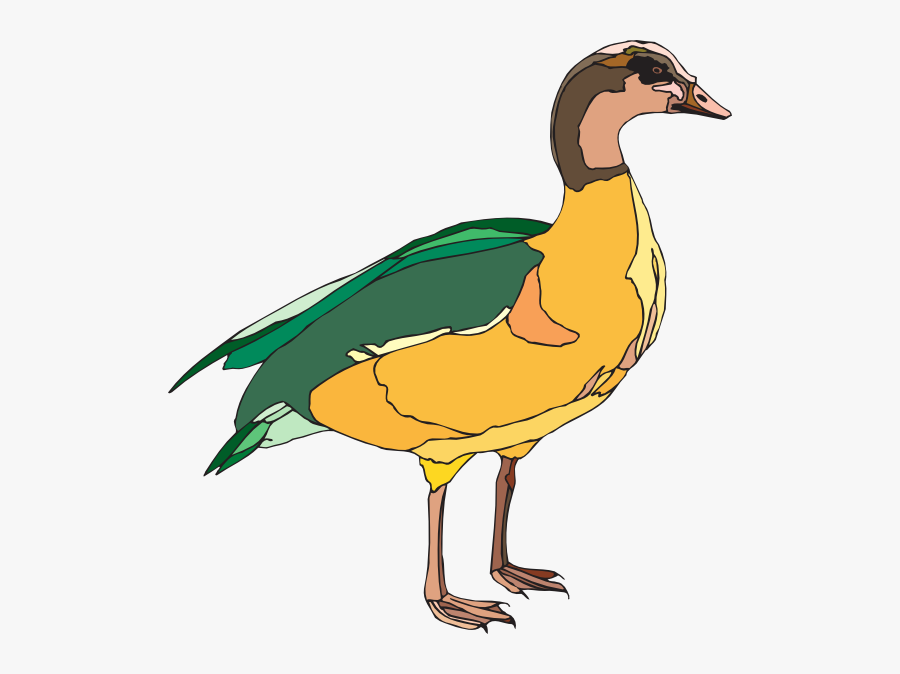 Yellow And Green Duck, Transparent Clipart