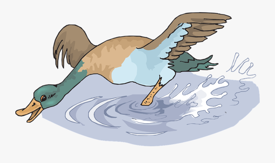 Flying Bird Cartoon 29, Buy Clip Art - Duck Splashing In Water Cartoon, Transparent Clipart
