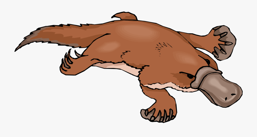 Platypus Clipart Free Images - Platypus Clipart, Transparent Clipart