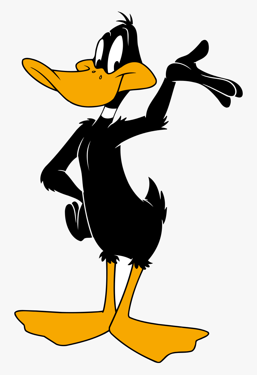 Clip Art,bird,duck,ducks, Geese And Swans,beak,water - Daffy Duck Png, Transparent Clipart