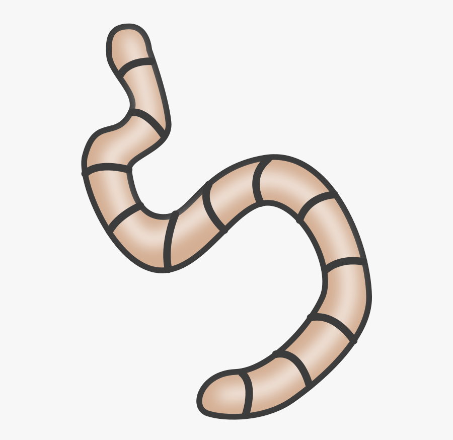 Reptile,line,worm - Worms Clipart, Transparent Clipart