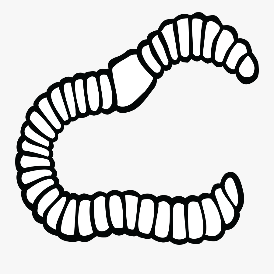 Thumb Image - Worm Black And White Clipart , Free Transparent Clipart ...