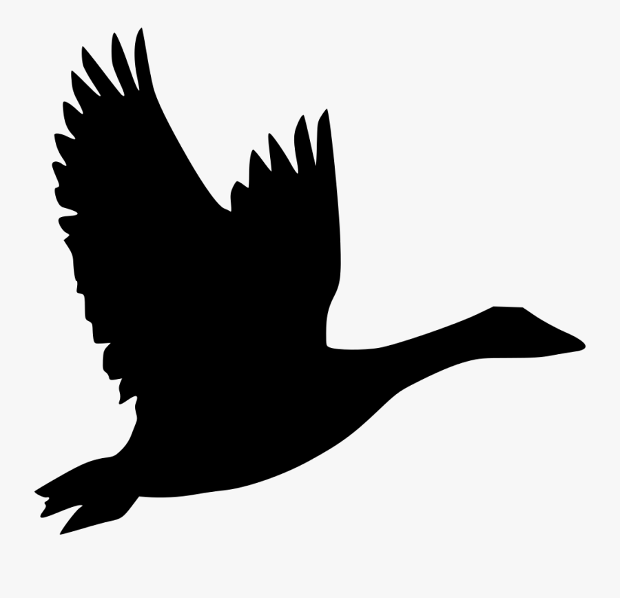 Bird Goose Flight Duck Clip Art - Canada Goose Icon Png , Free