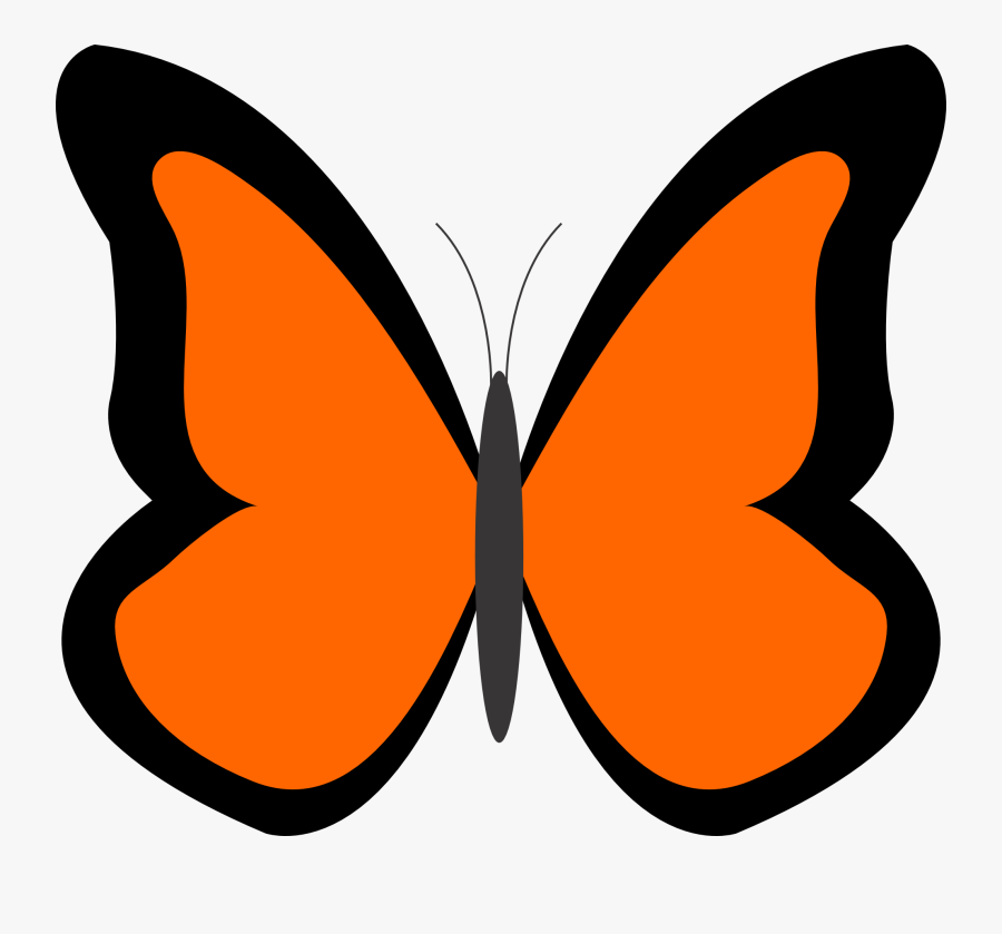 Bug Clipart Orange Butterfly Pencil And In Color Bug - Blue Butterfly Clipart, Transparent Clipart