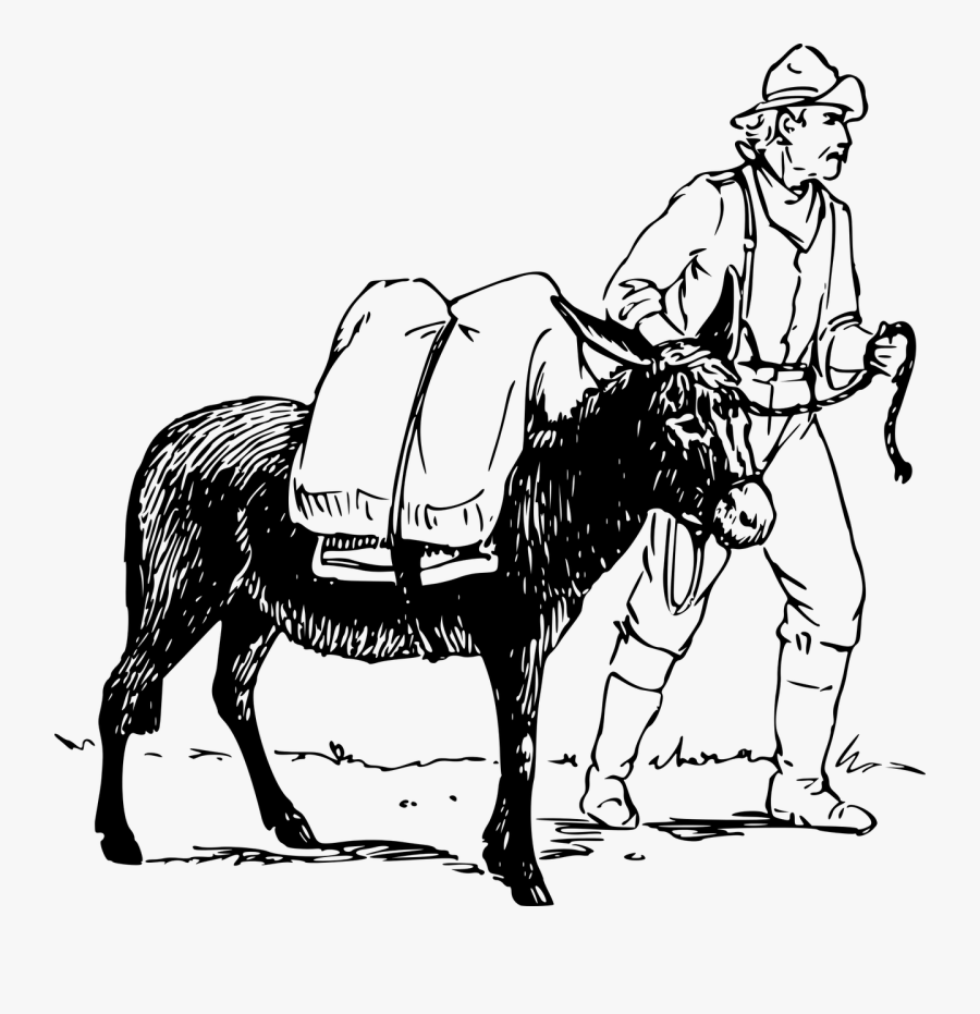 Man And Donkey - Donkey And Man Drawing, Transparent Clipart