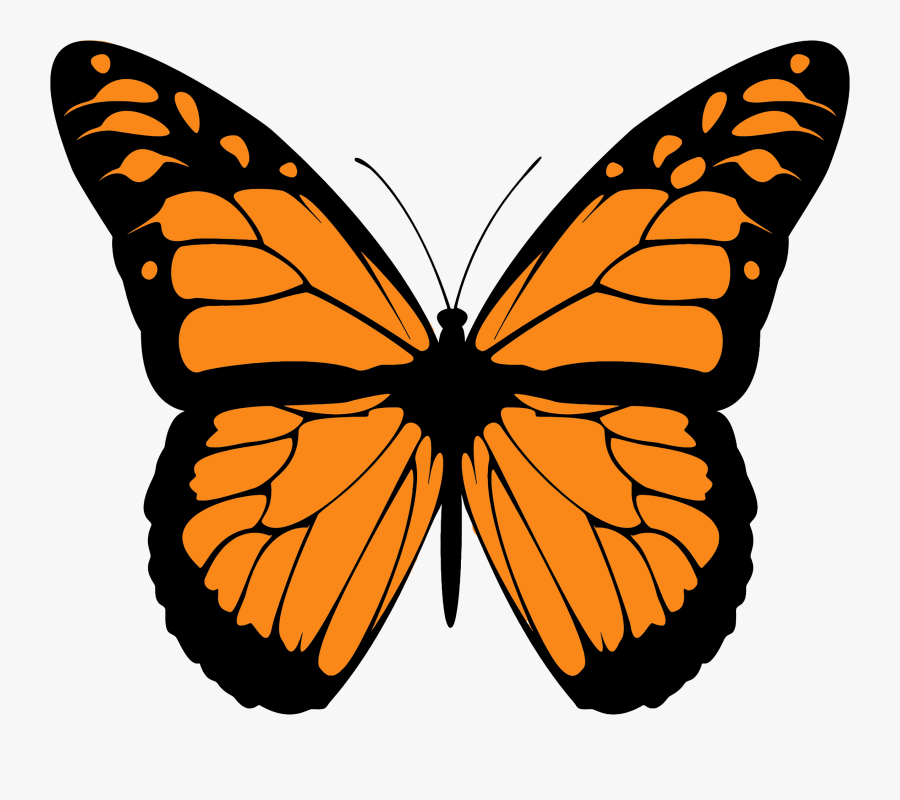 Butterfly Monarch Clipart The Cliparts Transparent - Monarch Butterfly Print Out, Transparent Clipart