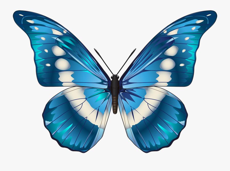 Blue Butterfly Blue Butterfly Clipart Clipartxtras, Transparent Clipart