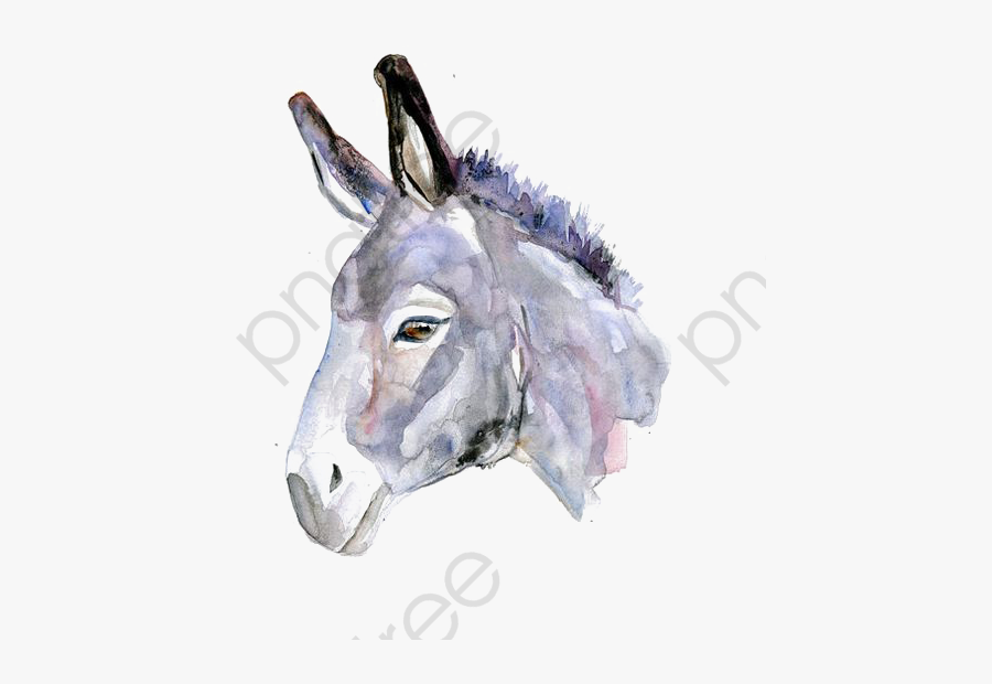 Drawing Donkey, Transparent Clipart