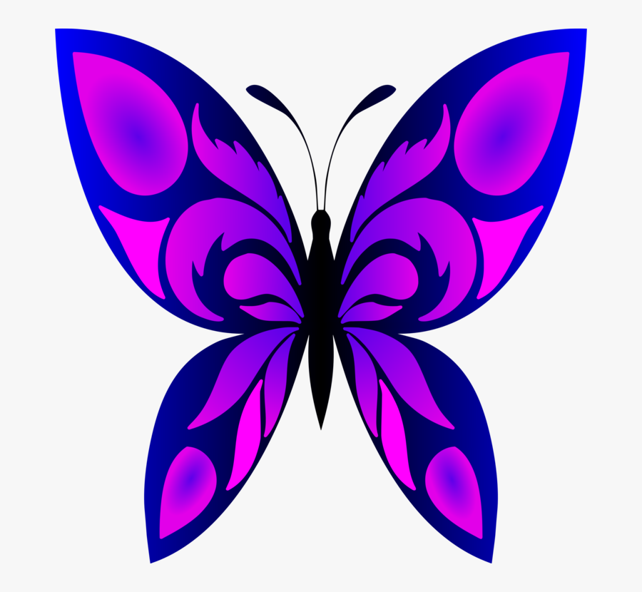 Butterfly Clipart Footed, Transparent Clipart