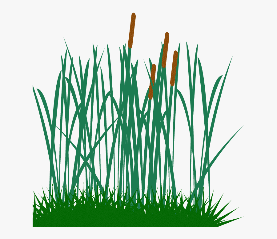 Tall Grass Clip, Transparent Clipart