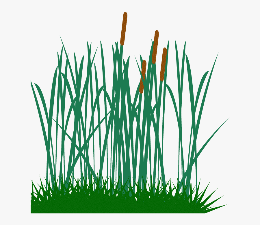 tall grass clip free transparent clipart clipartkey tall grass clip free transparent