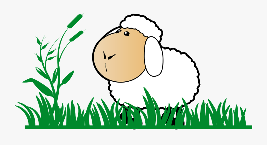 Grass, Sheep, Stand, Watch, Cartoon, Green, White - Sheep Clip Art, Transparent Clipart