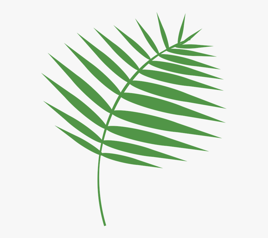 Graphic-3297834 960 720 - Free Palm Sunday Vector, Transparent Clipart