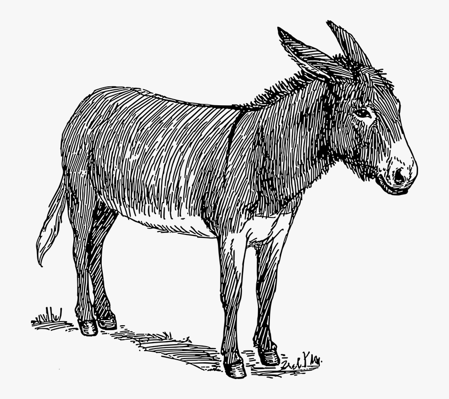 Free Donkey Clipart Black And White, Transparent Clipart