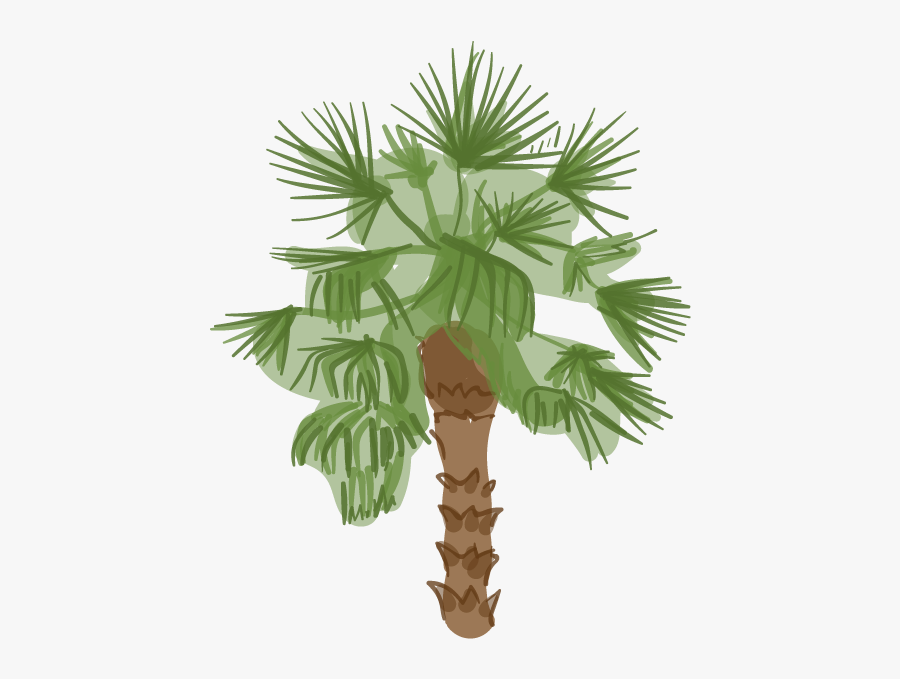 "s Palm Trees Are Dying And It"s Changing The City"s - Cartoon Png Desert Palm Trees, Transparent Clipart