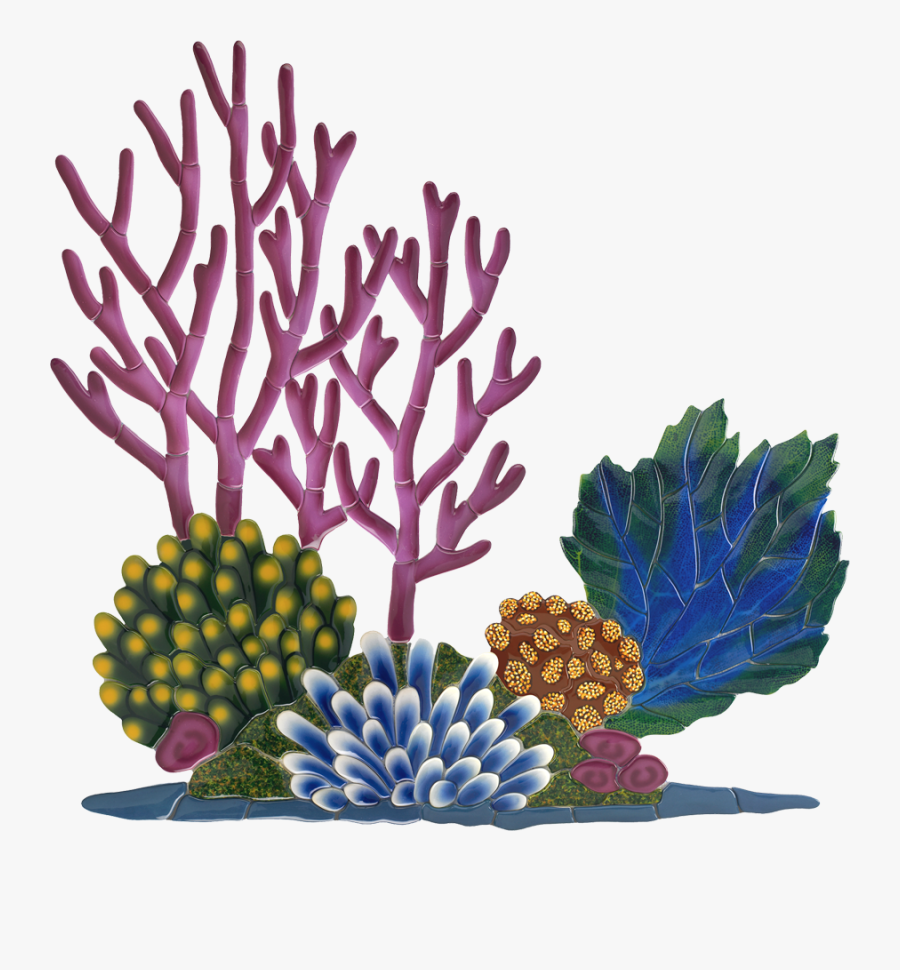 Transparent Coral Reef Png - Coral Reef Clipart, Transparent Clipart