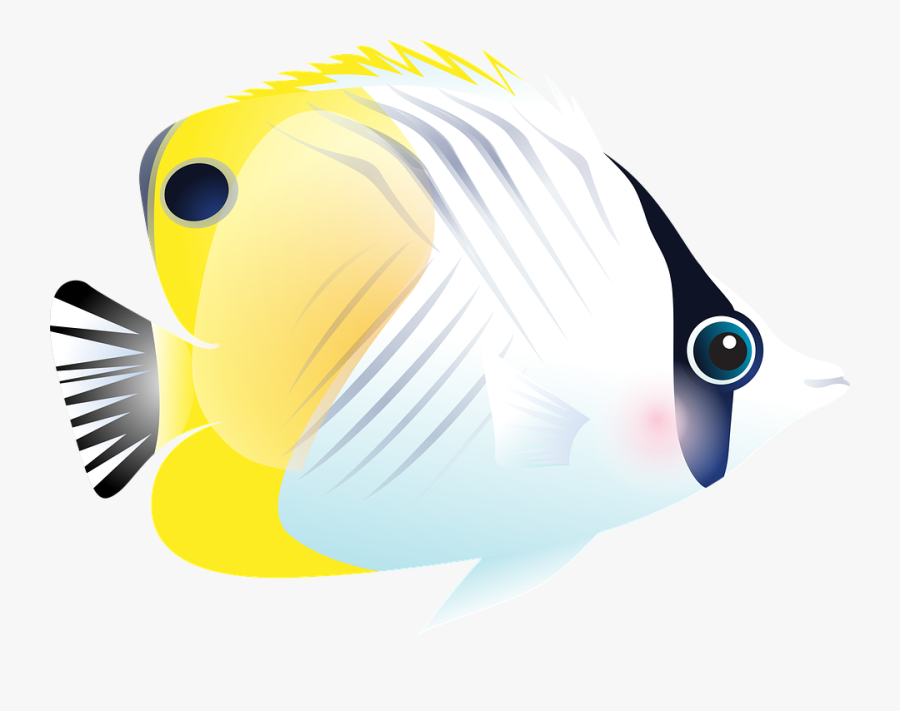 Goldfish Clipart Tropical Fish - Fish Png Tropical, Transparent Clipart