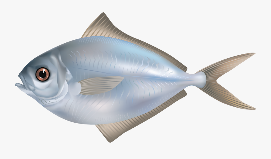 Goldfish Koi Clip Art - Fisch Png, Transparent Clipart
