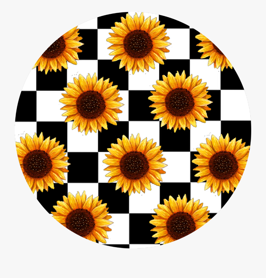 checkers and sunflowers