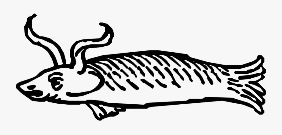 Fish, Horns, Ocean, Sea, Looking, Strange, Scale - Weird Fish Clipart, Transparent Clipart