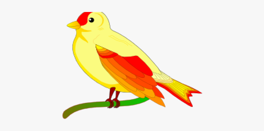 Animal Clip Art Bird, Transparent Clipart
