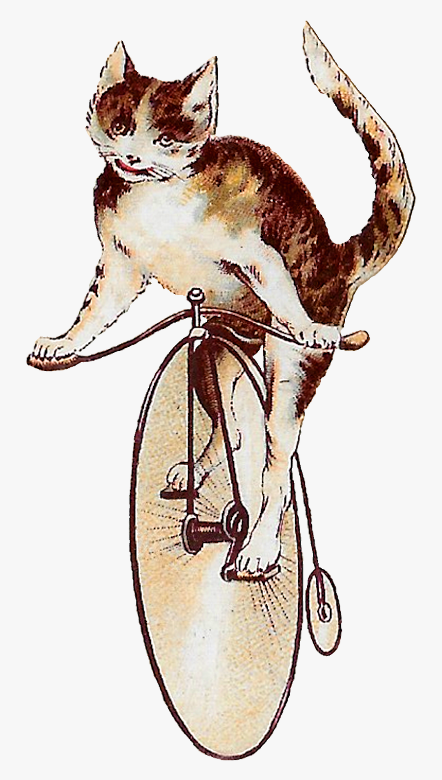 Tabby Cat Clipart, Transparent Clipart