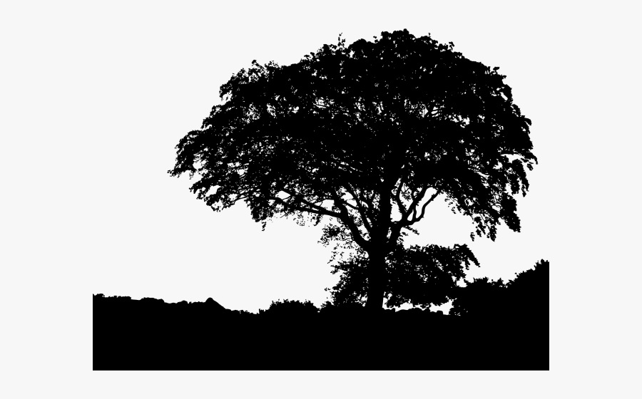 Silhouette Of A Landscape Tree Png, Transparent Clipart